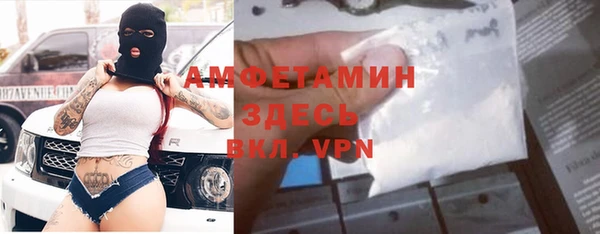 гидра Арсеньев