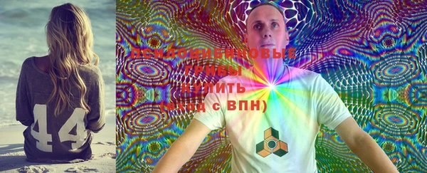 гидра Арсеньев