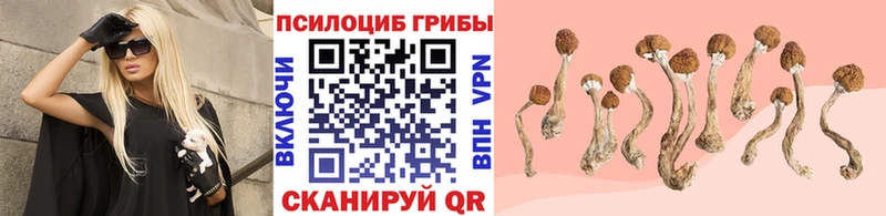 Псилоцибиновые грибы MAGIC MUSHROOMS Купить Туринск